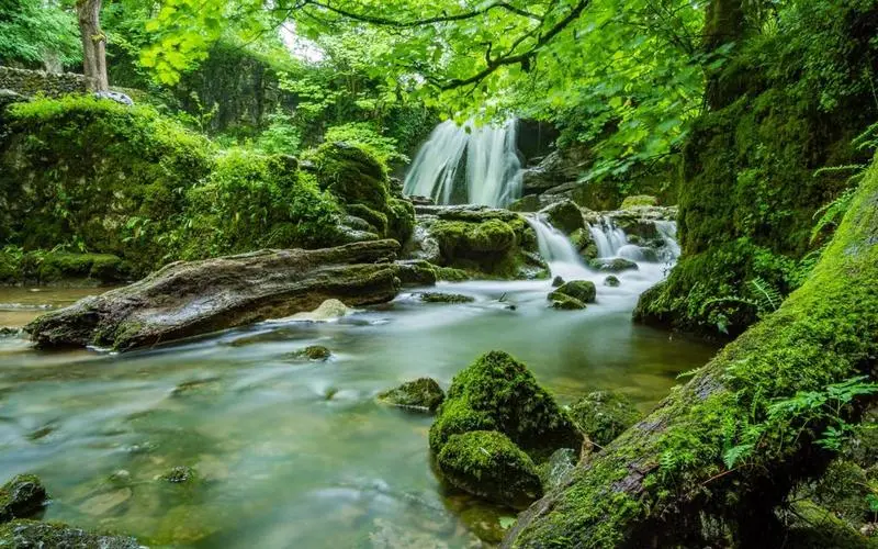 高端绿色